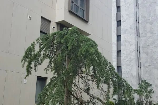 Su Residence - Resim 7