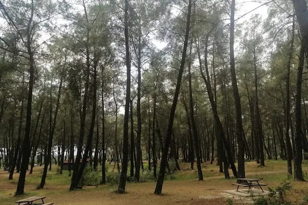 Döşemealtı Piknik Alanı - Resim 18