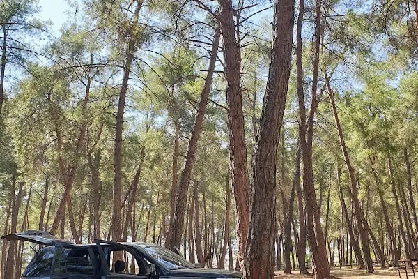 Döşemealtı Piknik Alanı - Resim 14