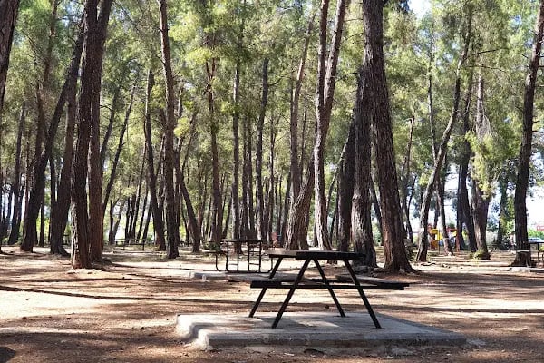 Döşemealtı Piknik Alanı - Resim 19
