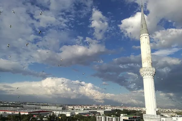 Özcanlar Cami - Resim 13