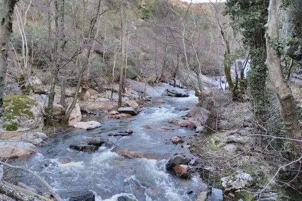 Çaylak Mesire Yeri - Resim 9