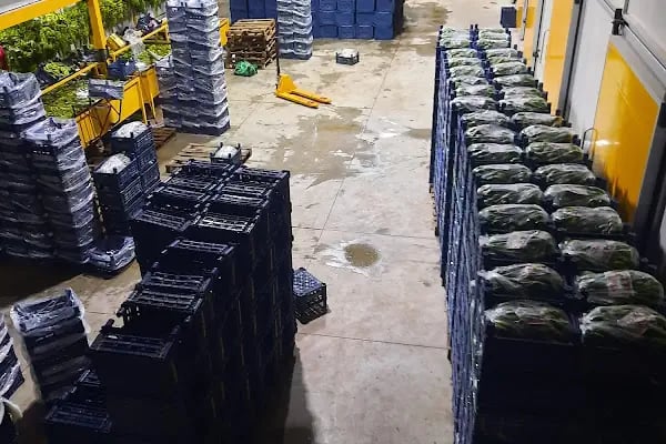 Baki ticaret - Resim 5