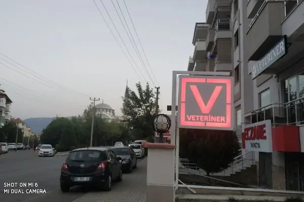 Vet20 Veteriner Kliniği - Resim 20