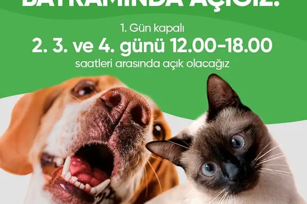 Vet20 Veteriner Kliniği - Resim 13
