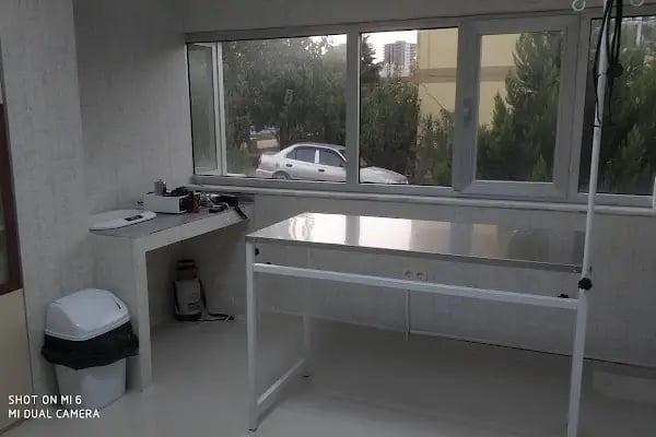 Vet20 Veteriner Kliniği - Resim 17