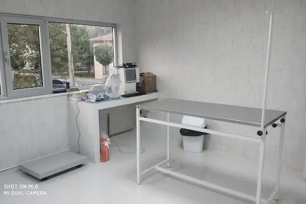 Vet20 Veteriner Kliniği - Resim 19