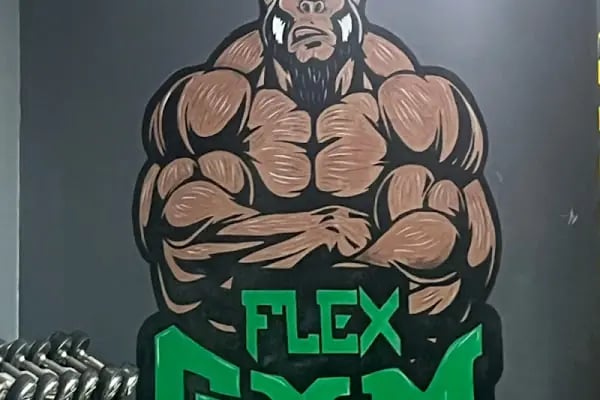 Flex Fitness - Resim 11