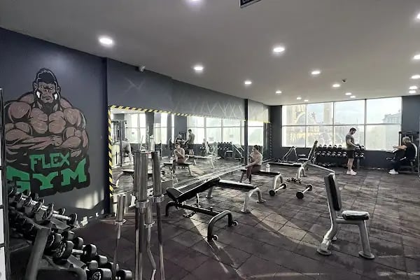 Flex Fitness - Resim 17