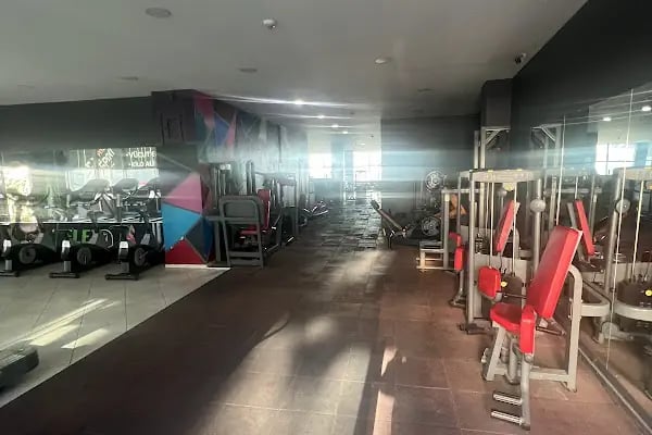 Flex Fitness - Resim 14