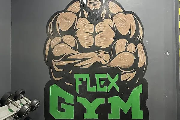 Flex Fitness - Resim 4