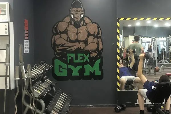 Flex Fitness - Resim 9