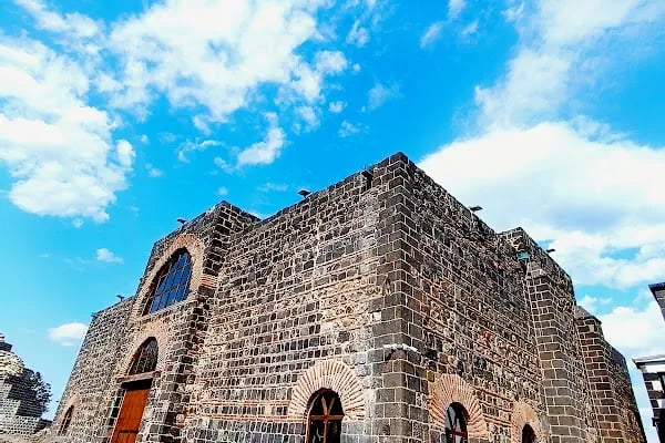Diyarbakır Arkeoloji Müzesi - Resim 19