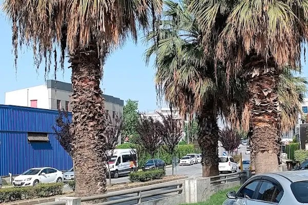 Bursa Safran Yemek - Resim 3