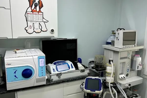 Deniz Veteriner Kliniği Yalıkavak - Resim 4
