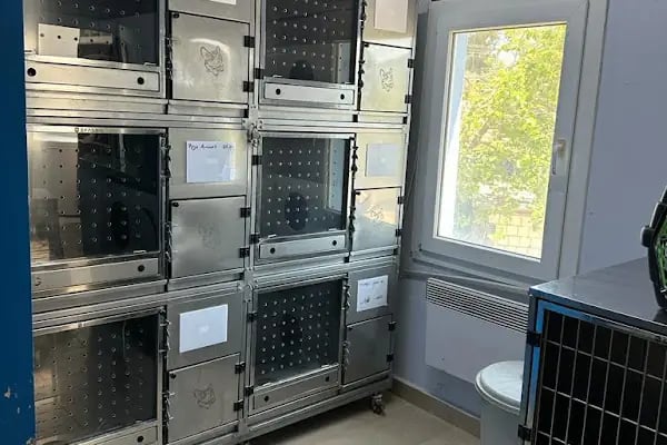 Deniz Veteriner Kliniği Yalıkavak - Resim 10