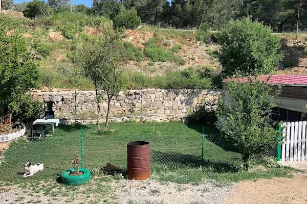 Deniz Veteriner Kliniği Yalıkavak - Resim 18