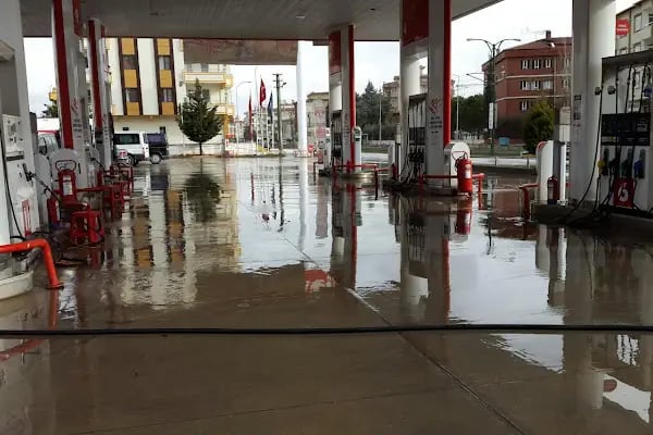 Shell Petrol - Resim 12