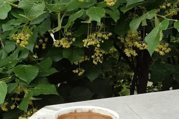 Özel Turuncu Mor Anaokulu - Resim 15