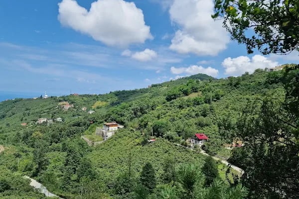 GRAND61 guest home - Resim 4