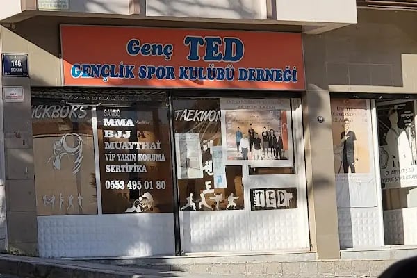 GENÇ TED GENÇLİK VE SPOR KULÜBÜ - Resim 3