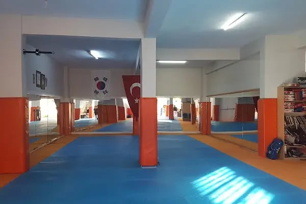 GENÇ TED GENÇLİK VE SPOR KULÜBÜ - Resim 6
