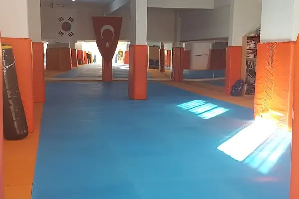 GENÇ TED GENÇLİK VE SPOR KULÜBÜ - Resim 5