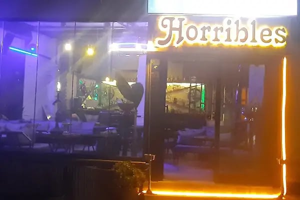 HORRIBLES KARAOKE BAR - Resim 3
