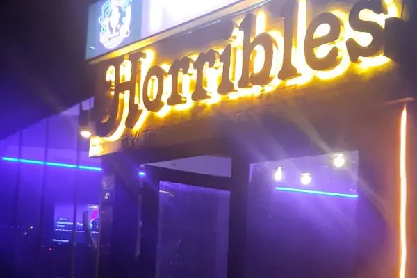 HORRIBLES KARAOKE BAR - Resim 2