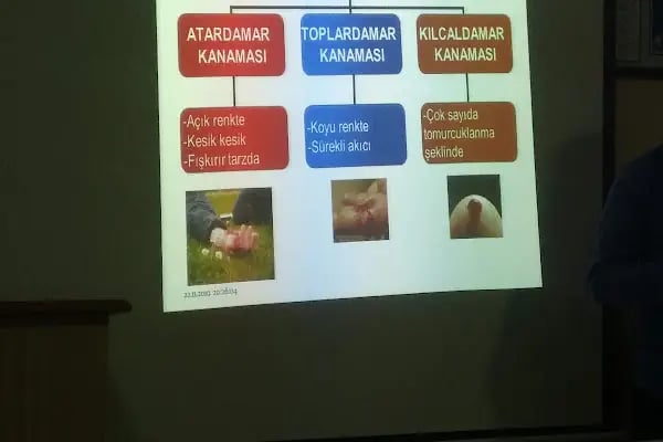 Yeni CEBECİ SÜRÜCÜ KURSU - Resim 13