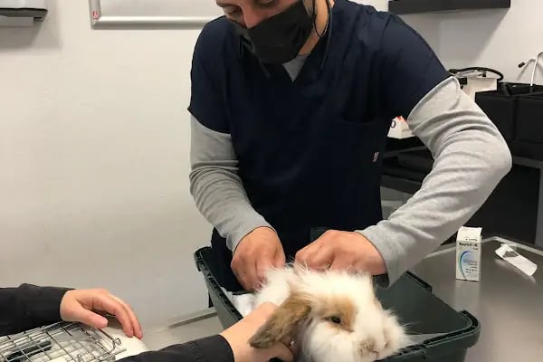 Ametist Veteriner Kliniği - Resim 19