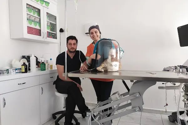 Ametist Veteriner Kliniği - Resim 14