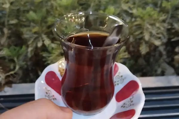 Taylan Restaurant - Resim 19