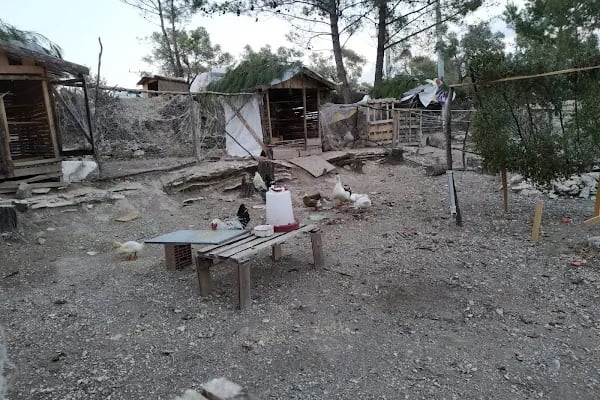 Mylasa Farm And Villas - Resim 8