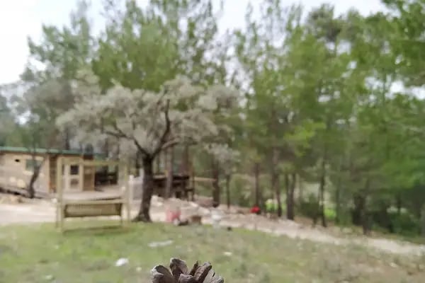 Mylasa Farm And Villas - Resim 15