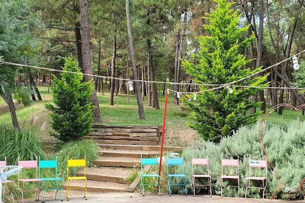 Şirintepe Çamlık Parkı - Resim 20