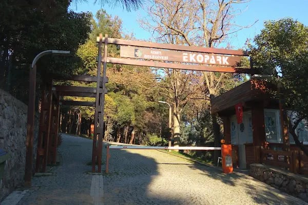Şirintepe Çamlık Parkı - Resim 16