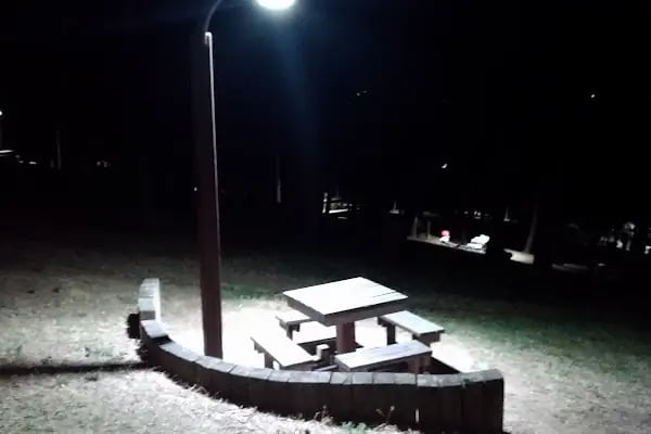 Şirintepe Çamlık Parkı - Resim 11