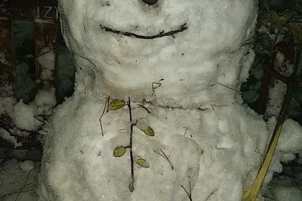 Şirintepe Çamlık Parkı - Resim 14