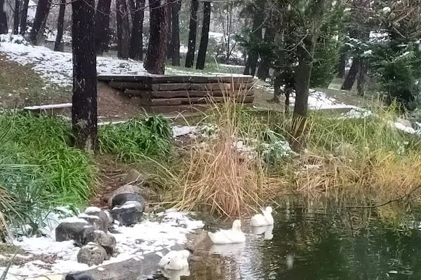 Şirintepe Çamlık Parkı - Resim 17