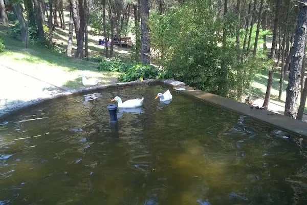 Şirintepe Çamlık Parkı - Resim 19
