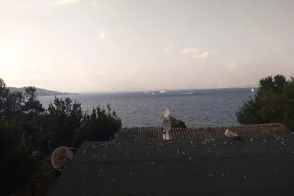 Cennet Bahçesi - Resim 14