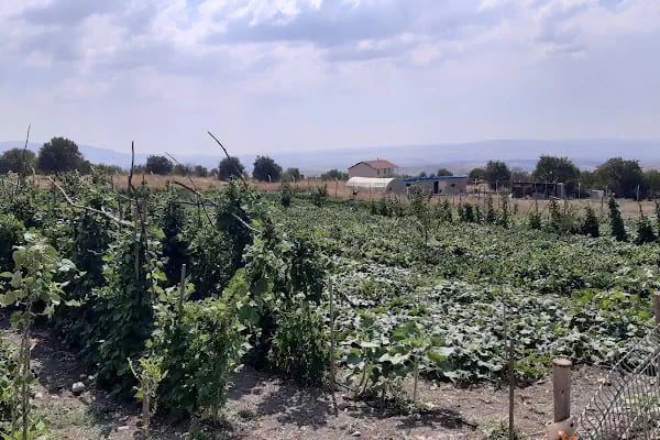 Dessa Çiftliği - Resim 1