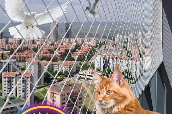 Viyol Marketim - Resim 5