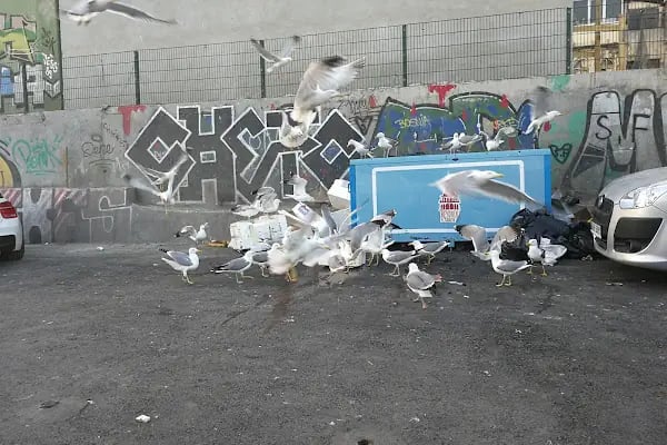 Turyol Karaköy İskelesi - Resim 16