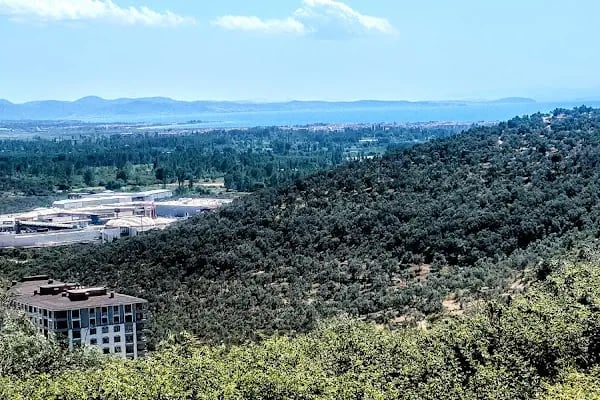 Şıp Şıp Dede - Resim 20