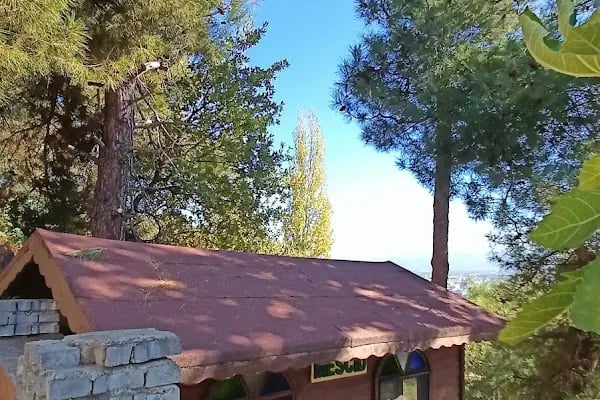 Şıp Şıp Dede - Resim 6
