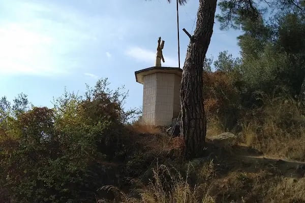 Şıp Şıp Dede - Resim 13