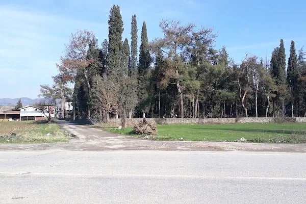 Kepsut Mezarlığı - Resim 2