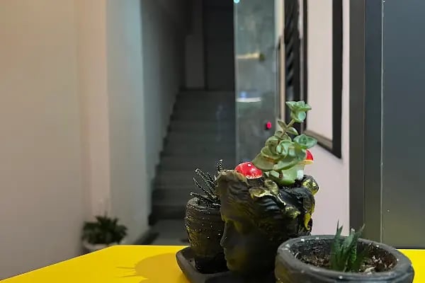 CAN GROUP BUTİK HOTEL ATAKUM - Resim 18